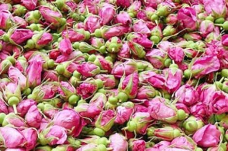 玫瑰花生產(chǎn)線(xiàn)